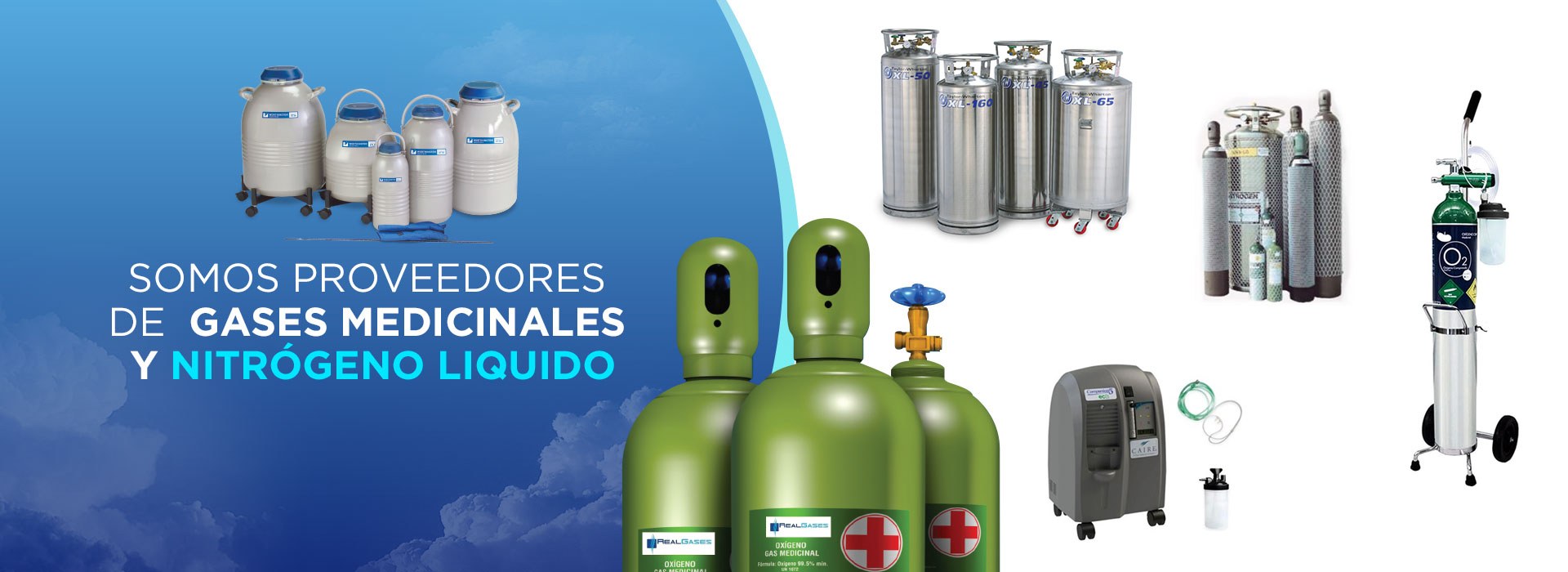 Hojas De Seguridad Real Gases Real Gases Tijuana 5407